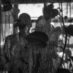 Θεραπευτική Φωτογραφία - Therapeutic Photography - Ψυχοθεραπεία - Psychotherapy Θεραπευτική Φωτογραφία - Therapeutic Photography - Ψυχοθεραπεία - Psychotherapy